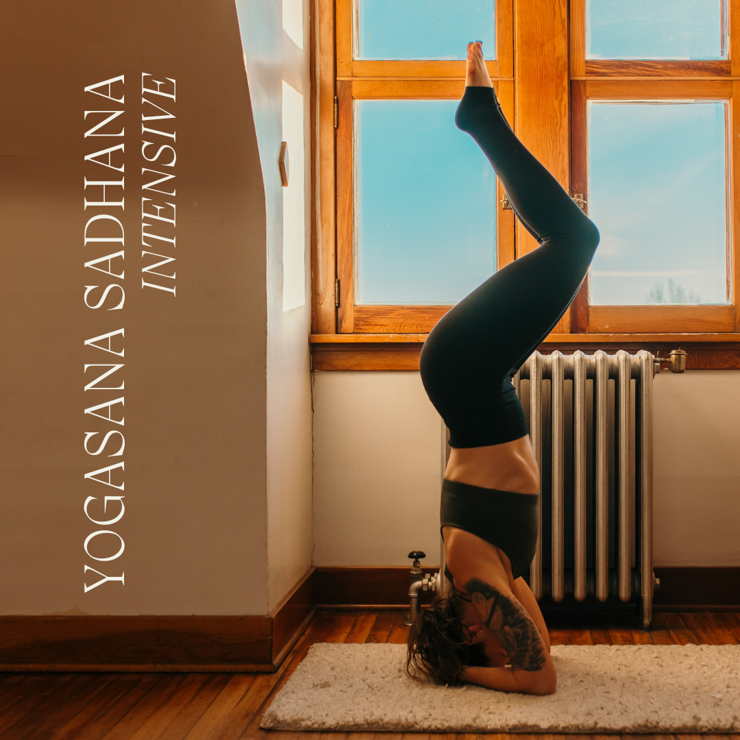 Bobbi Paidel, Yoga intensive at My Yoga Room